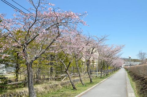 0428yagasaki01.jpg