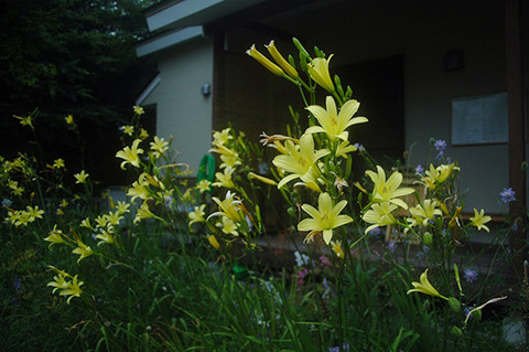 20080810yusuge01.jpg