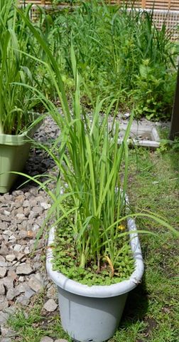 20130629yusuge05.jpg