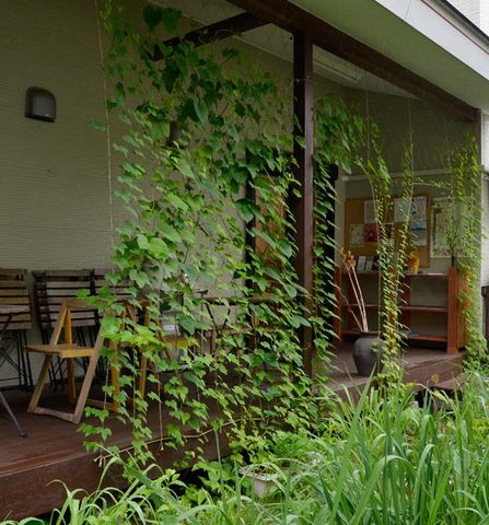 20130701midori01.jpg