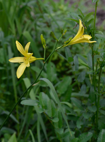20130714yusuge04.jpg