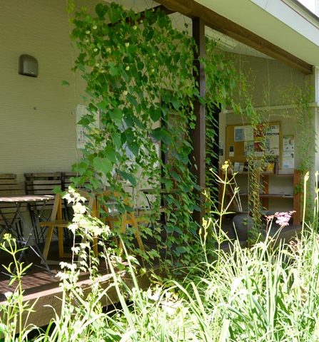20130719midori01.jpg