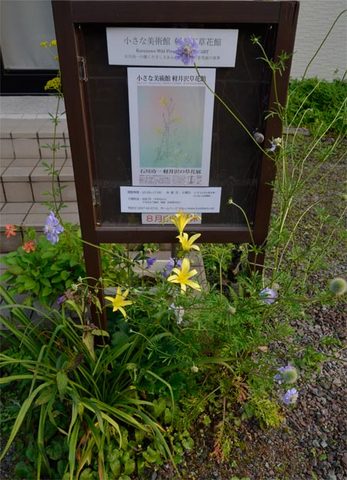 20130812yusuge01.jpg