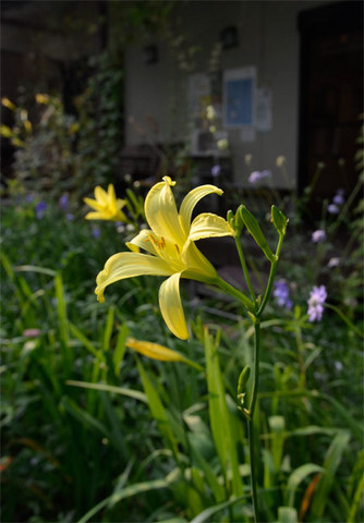 20130814yusuge01.jpg