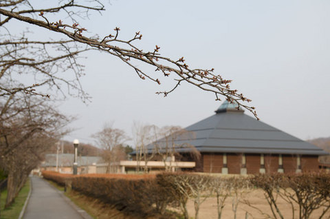 20140417yagasaki01.jpg
