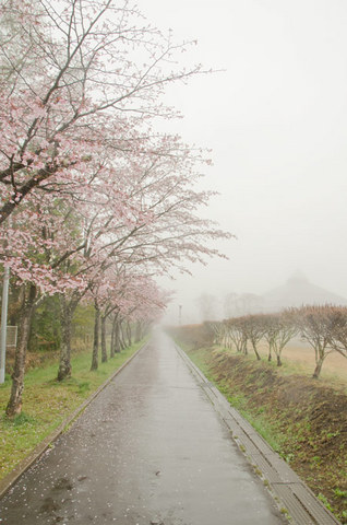 20140430yagasaki01.jpg
