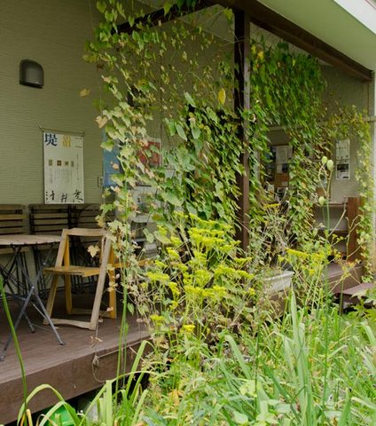 20140918midori01.jpg