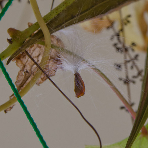 20141019midori03ikema.jpg