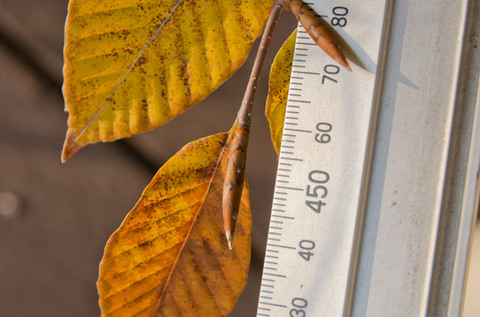 20141030inubunaA02.jpg