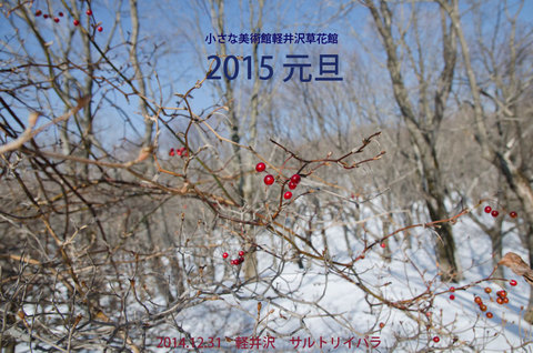 20141231sarutoriibara.jpg