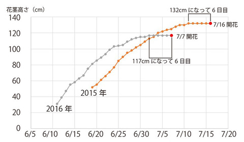 2015-2016ŔOEXQԌsOt.jpg