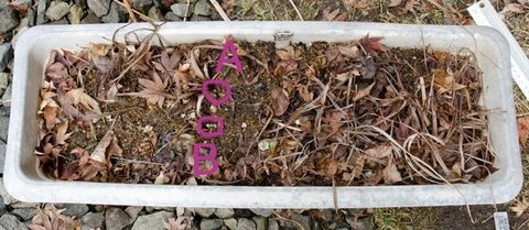 20150320yusuge_3y_planter02.jpg