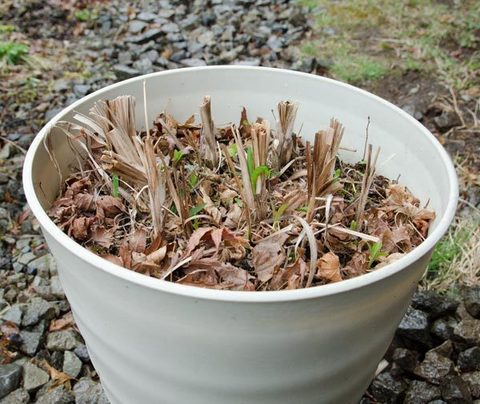 20150420yusuge_7y_pot_01.jpg