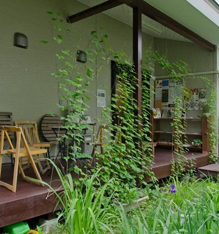 20150612midori01.jpg