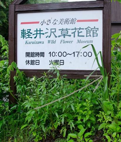 20150619yusuge_roji_kakeiB01.jpg