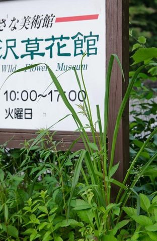 20150625yusuge_roji_kakeiA01.jpg
