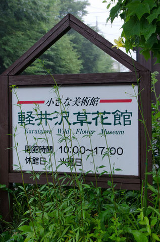 20150716yusuge_roji_kakeiA03-1716.jpg