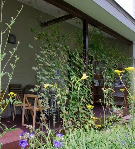 20150811midori00.jpg