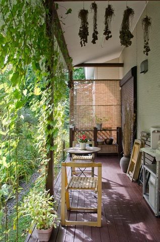 20150930midori02.jpg