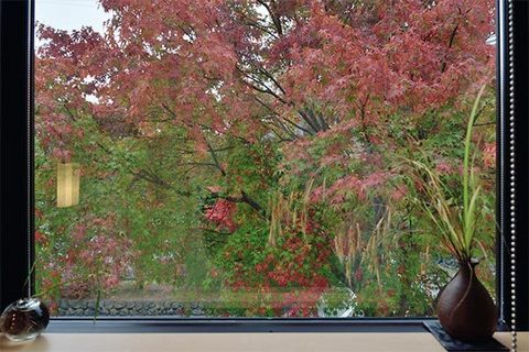 20151021momiji02.jpg