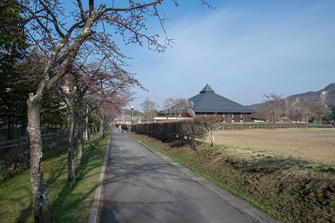 20160420yagasaki-sakura03.jpg
