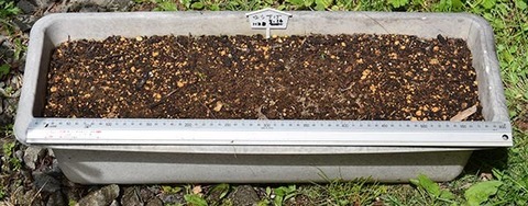 20160604yusuge_1y_planter_01_20160516.jpg