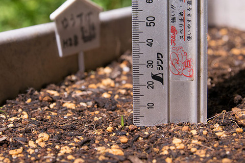 20160604yusuge_1y_planter_02_20160516.jpg