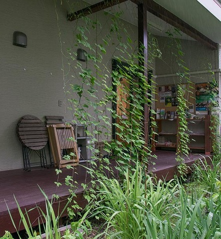 20160613midori00.jpg