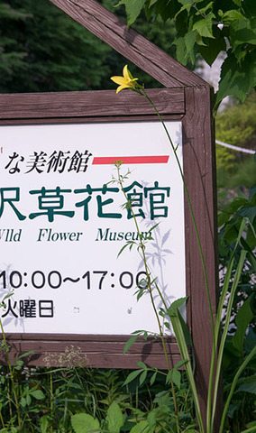 20160707yusuge_rojiC02_1654.jpg