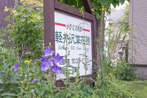 20160723kikyou01.jpg