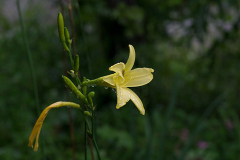 20160726yusuge01-1620.jpg