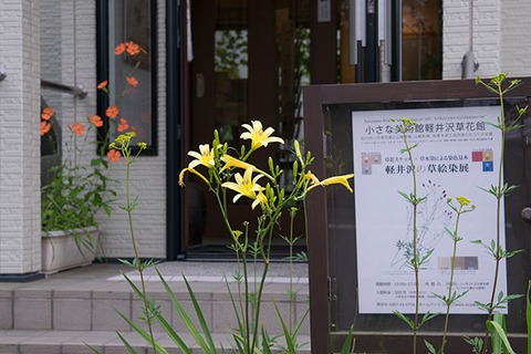 20160802yusuge01-1731.jpg