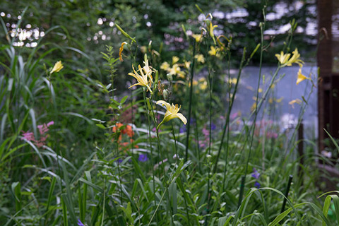 20160803yusuge01-1635.jpg