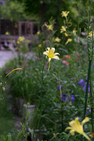20160803yusuge02-1745.jpg