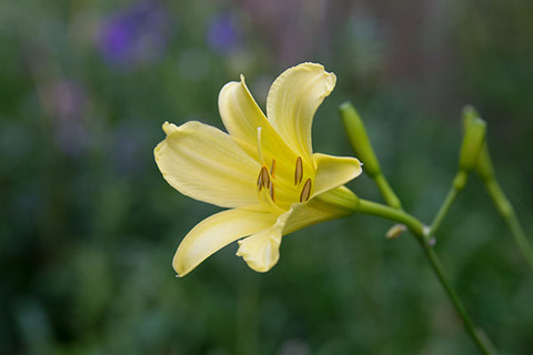 20160805yusuge01-1731.jpg