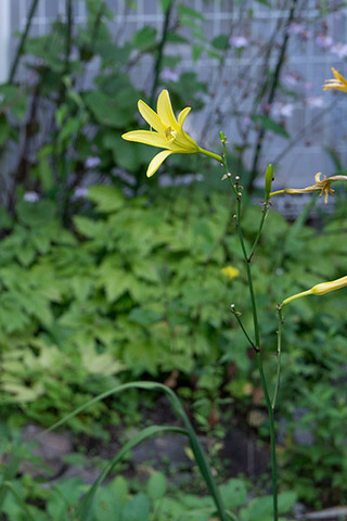 20160812yusuge01-1645.jpg