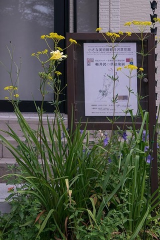 20160814yusuge01-1735.jpg