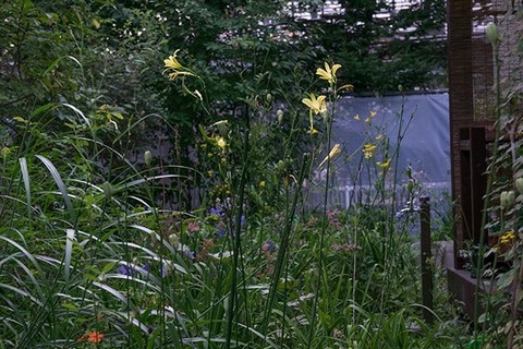 20160814yusuge02-1735.jpg