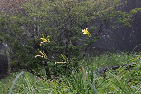 20160815yusuge00hanare.jpg
