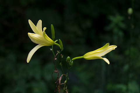 20160818yusuge01-1514.jpg