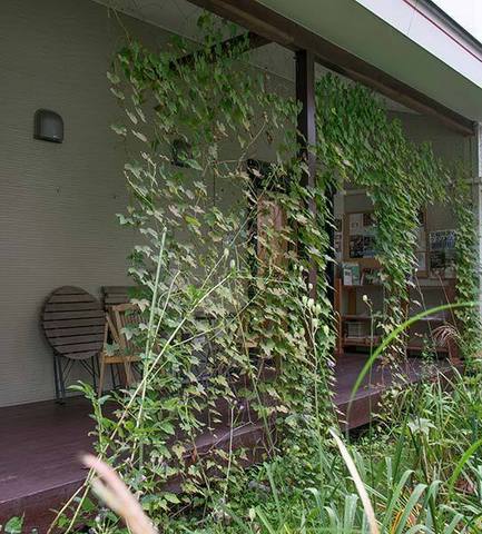 20160830midori01.jpg