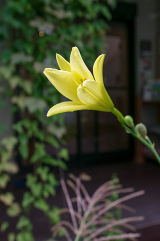 20160901yusuge01-1651.jpg