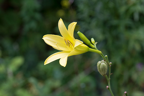 20160905usuge03-1648.jpg