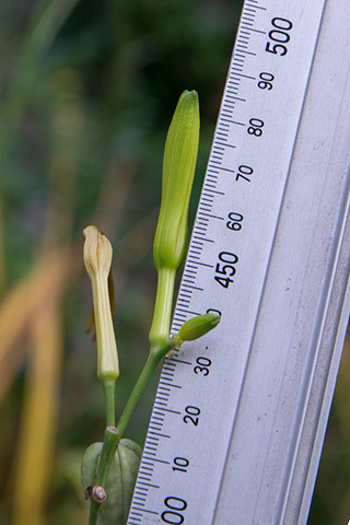 20160907yusuge01-1525.jpg