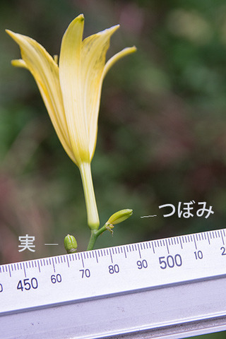 20160909yusuge01-1628.jpg