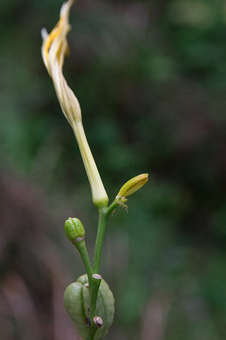 20160910yusuge01-1653.jpg