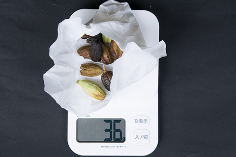 20160925yusuge_C_weight02.jpg