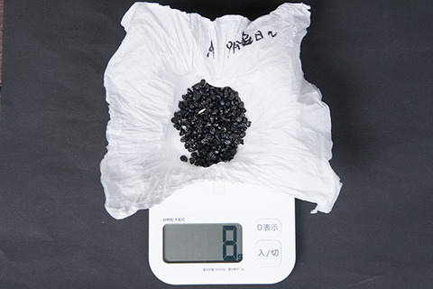 20161002yusuge_A_weight01.jpg