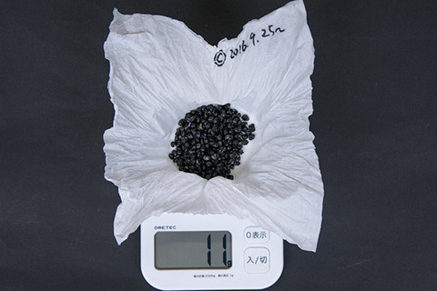 20161003yusuge_C_weight01.jpg