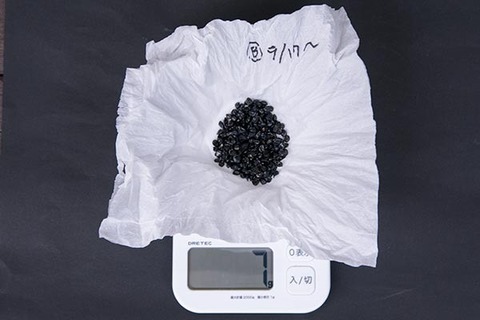 20161004yusuge_B_weight01.jpg